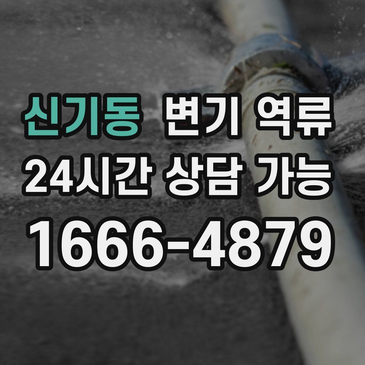 신기동 변기 역류 주방 싱크대 배수와 연동되는 느낌이 들 때