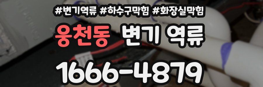 웅천동 변기 역류