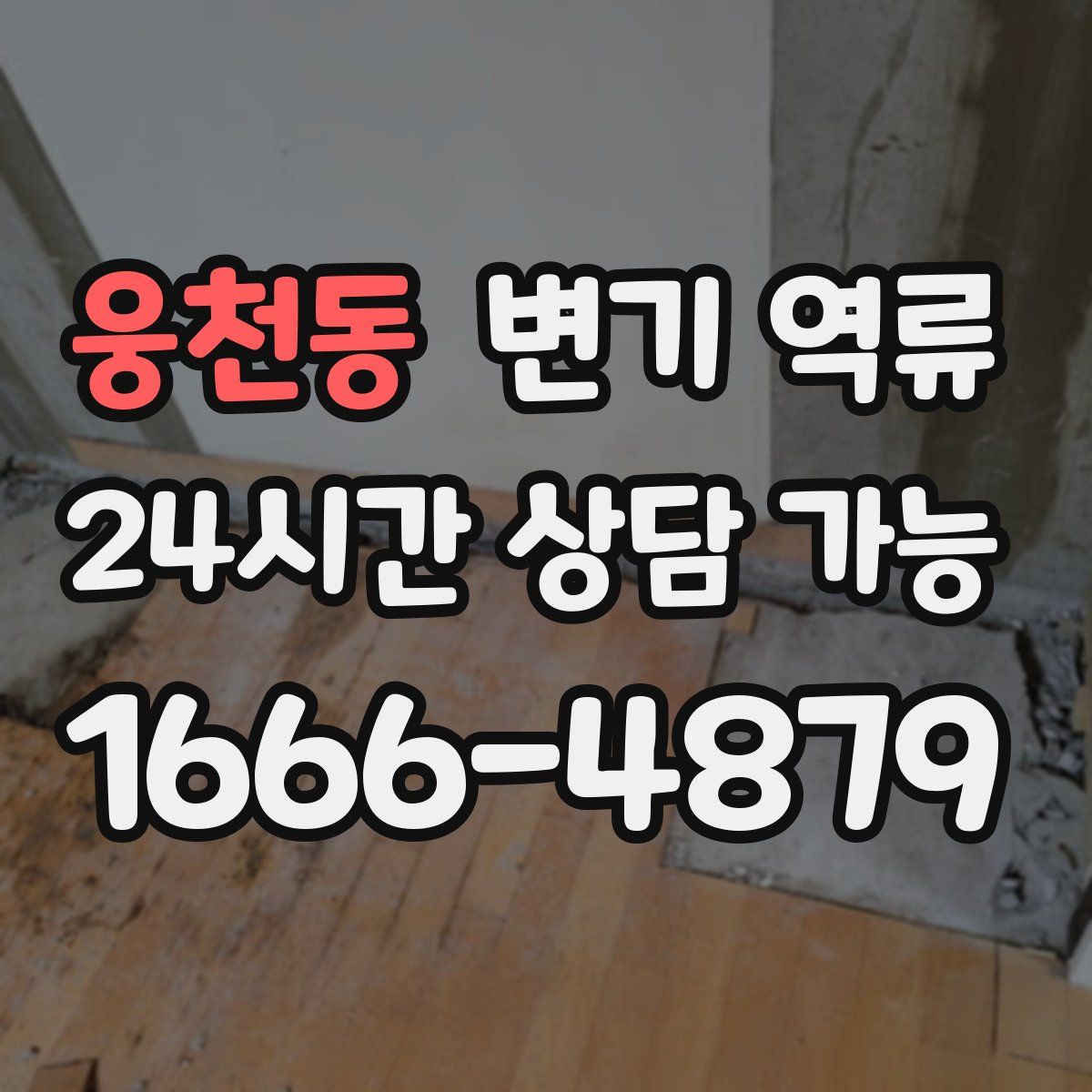 웅천동 변기 역류