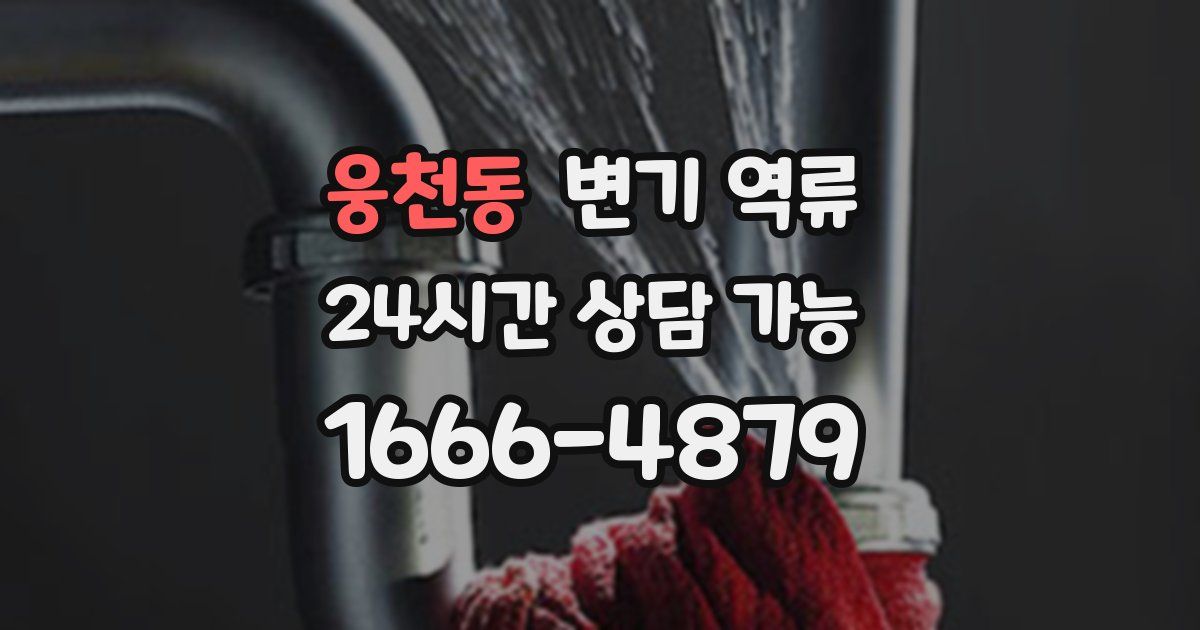 웅천동 변기 역류