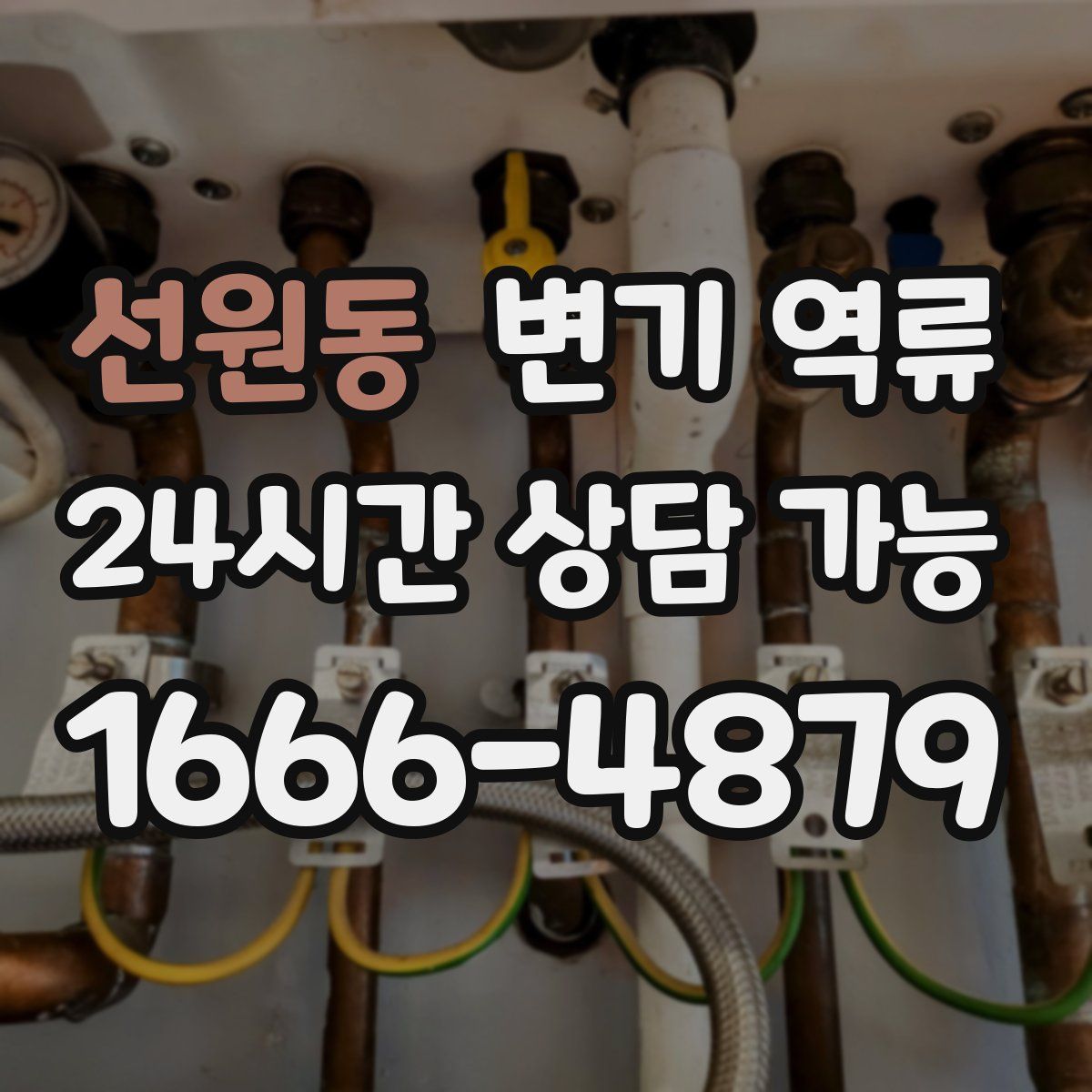 선원동 변기 역류