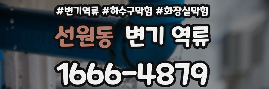 선원동 변기 역류