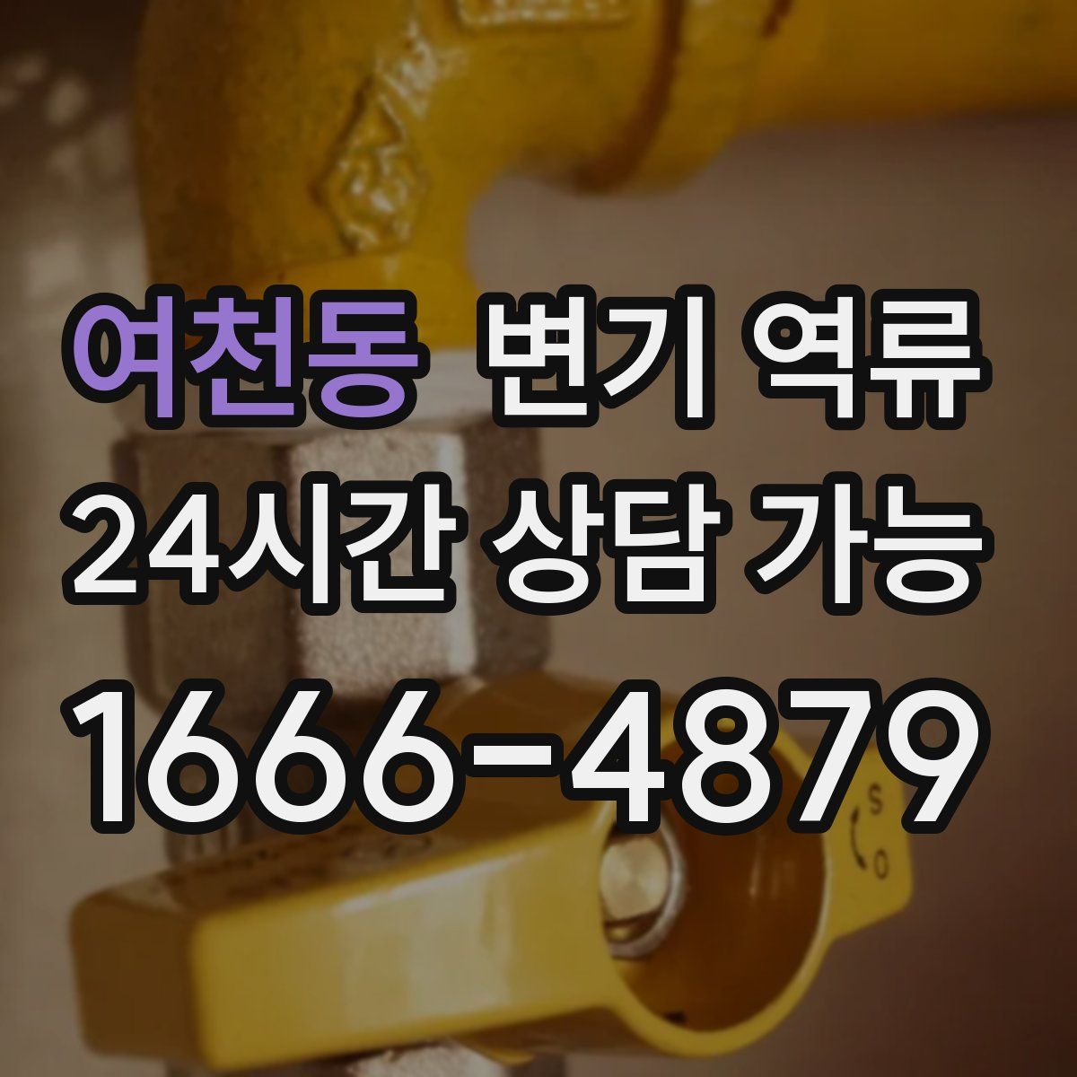 여천동 변기 역류