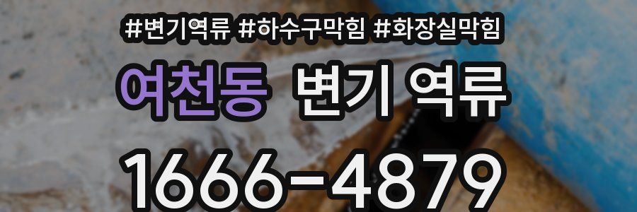 여천동 변기 역류