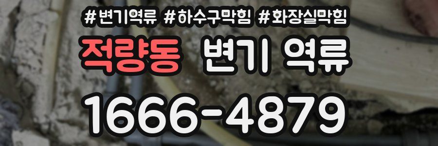 적량동 변기 역류