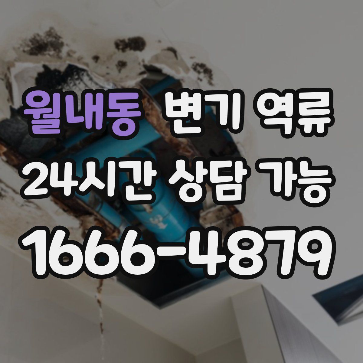 월내동 변기 역류