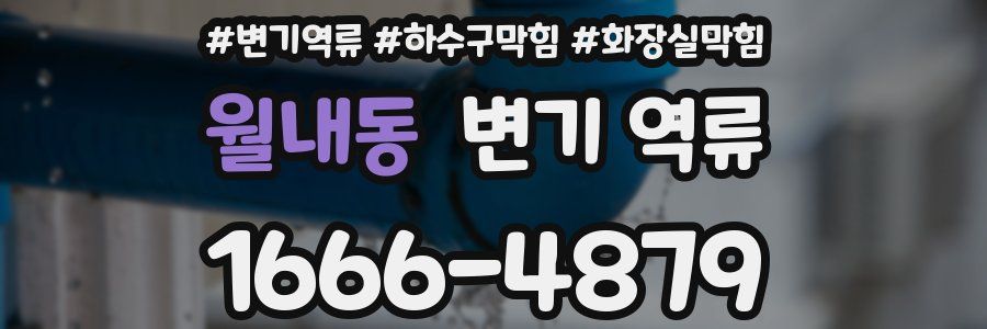 월내동 변기 역류