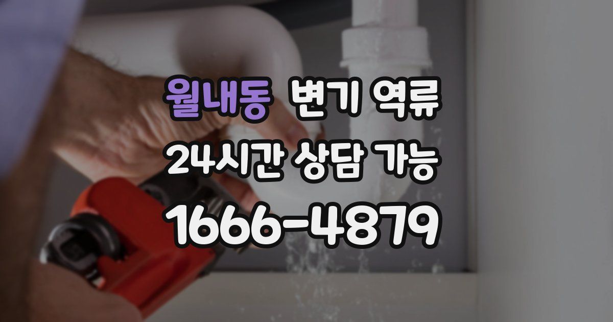 월내동 변기 역류