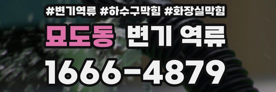 묘도동 변기 역류