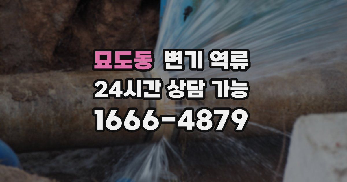 묘도동 변기 역류
