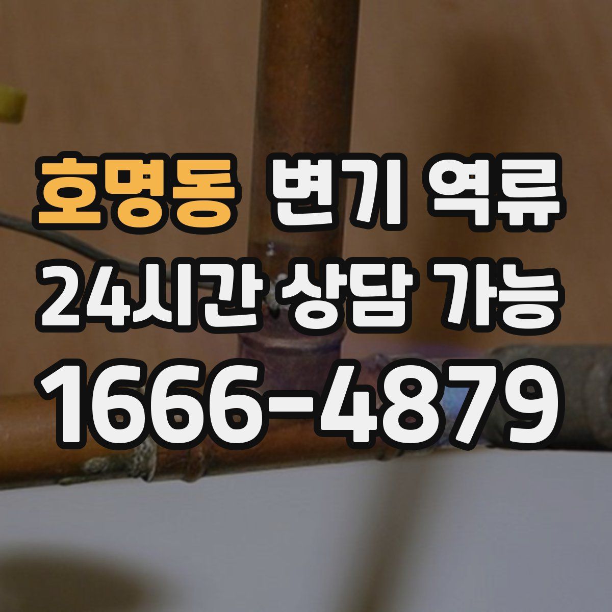 호명동 변기 역류