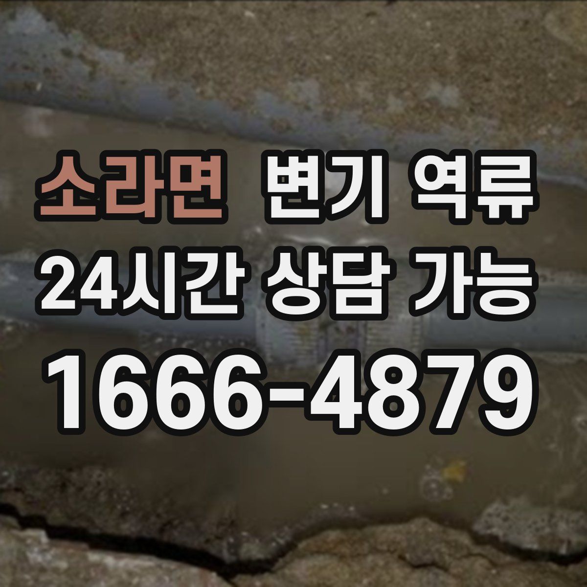 소라면 변기 역류