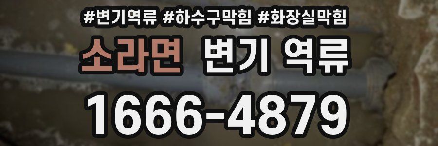 소라면 변기 역류