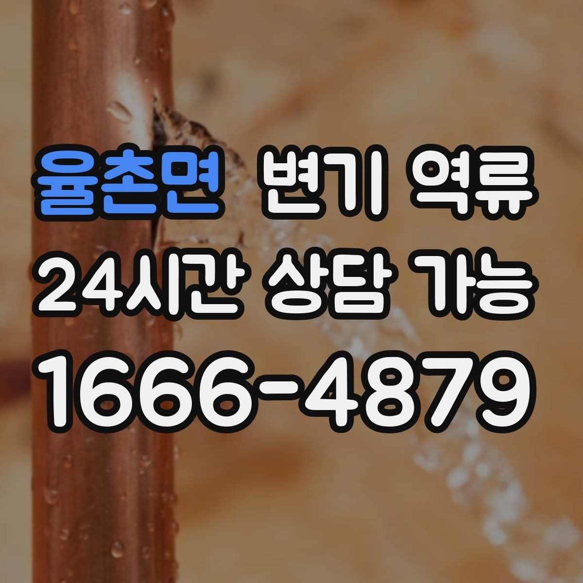 율촌면 변기 역류 바닥 배수구 트랩이 막히면 더 심해지는 이유