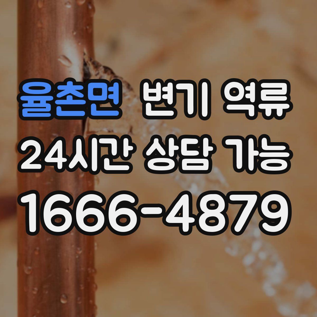 율촌면 변기 역류