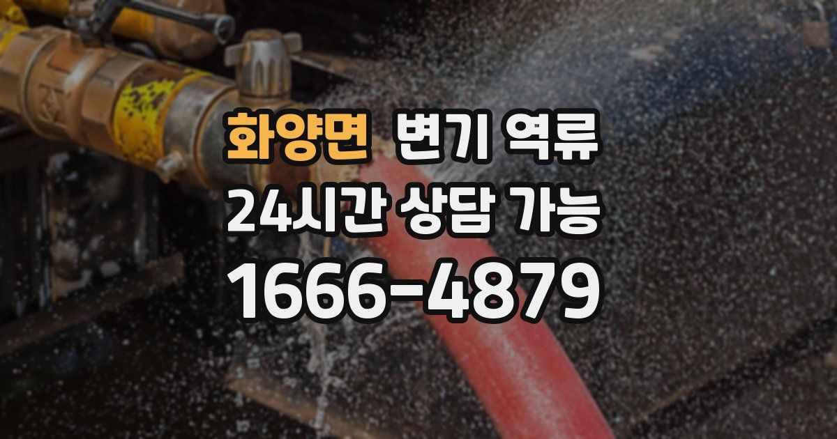 화양면 변기 역류