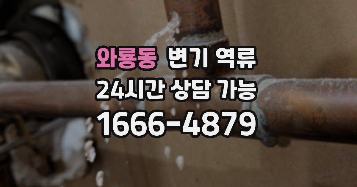 와룡동 변기 역류