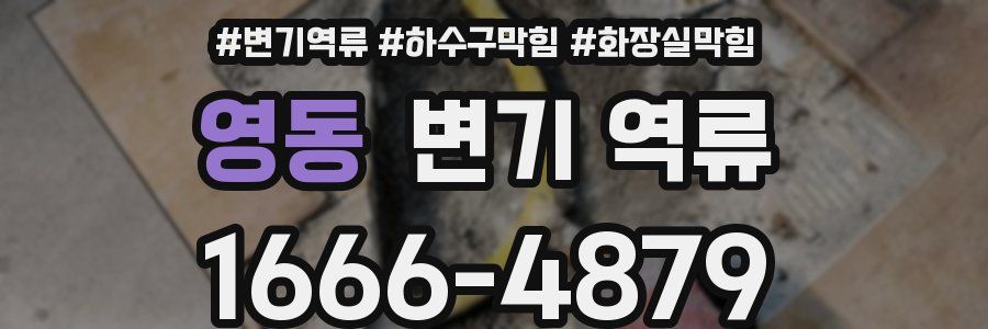 영동 변기 역류