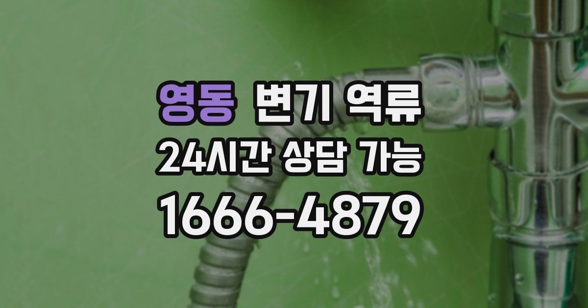 영동 변기 역류