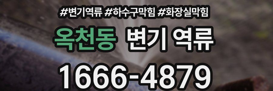 옥천동 변기 역류