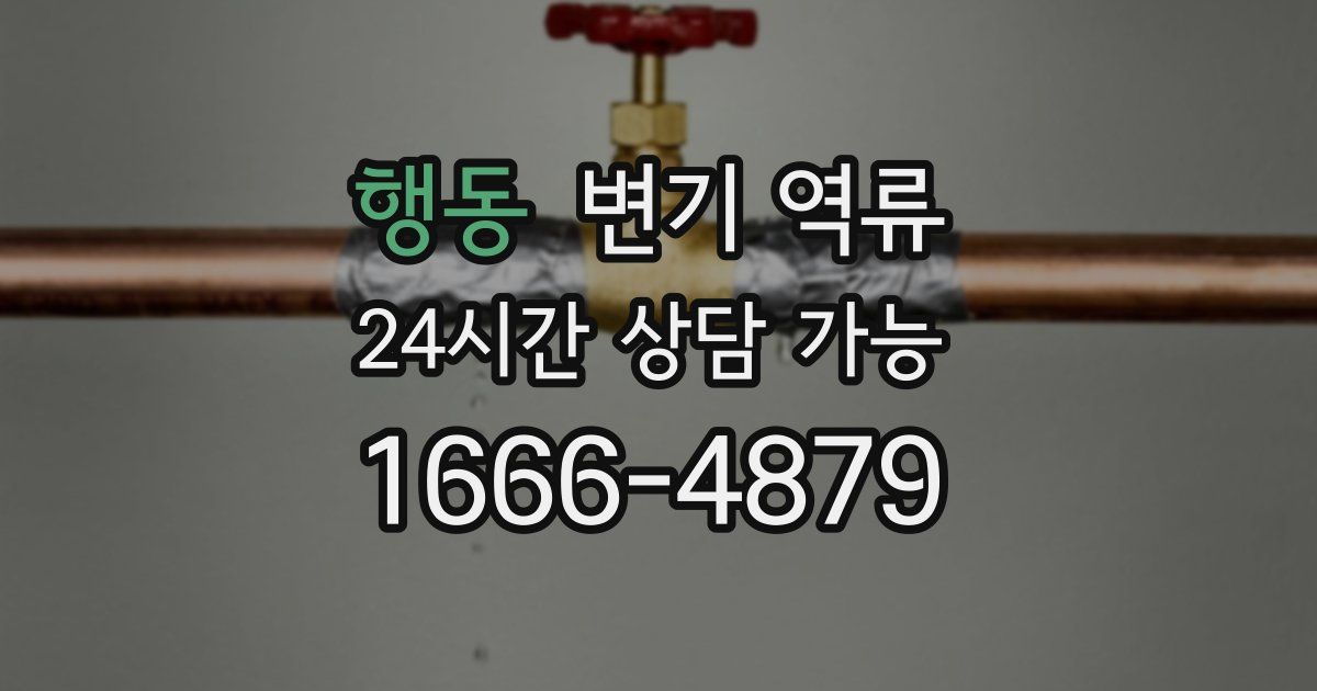 행동 변기 역류