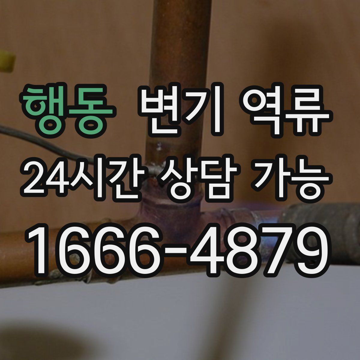 행동 변기 역류