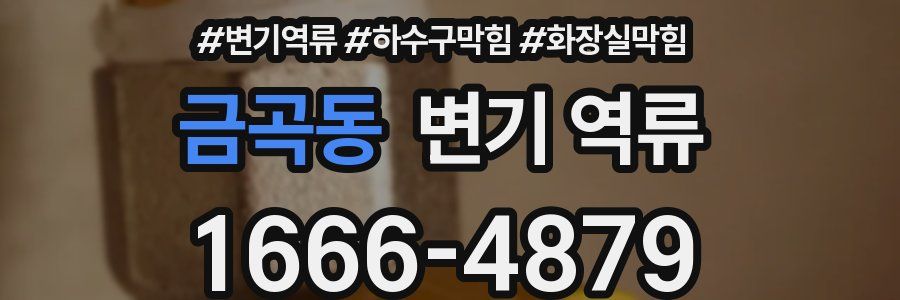 금곡동 변기 역류