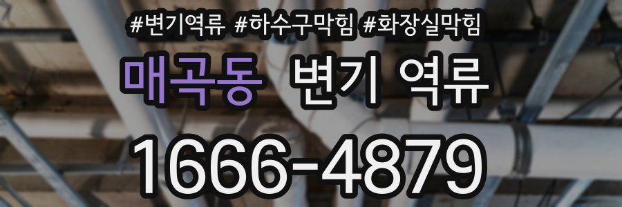 매곡동 변기 역류