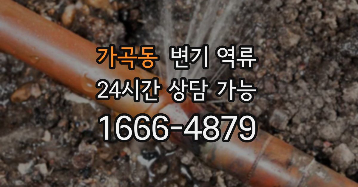 가곡동 변기 역류