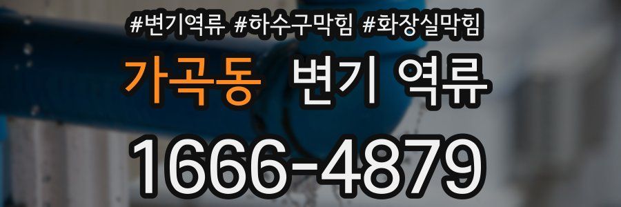 가곡동 변기 역류