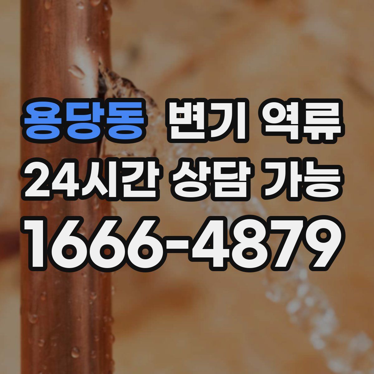 용당동 변기 역류