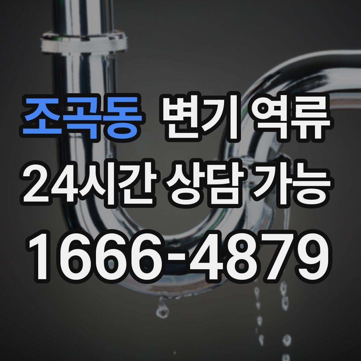 조곡동 변기 역류