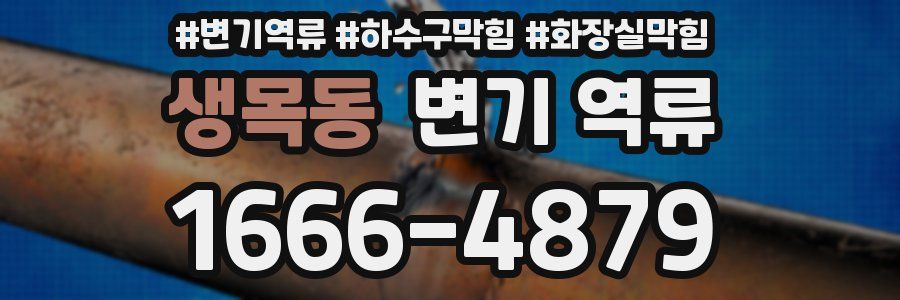 생목동 변기 역류