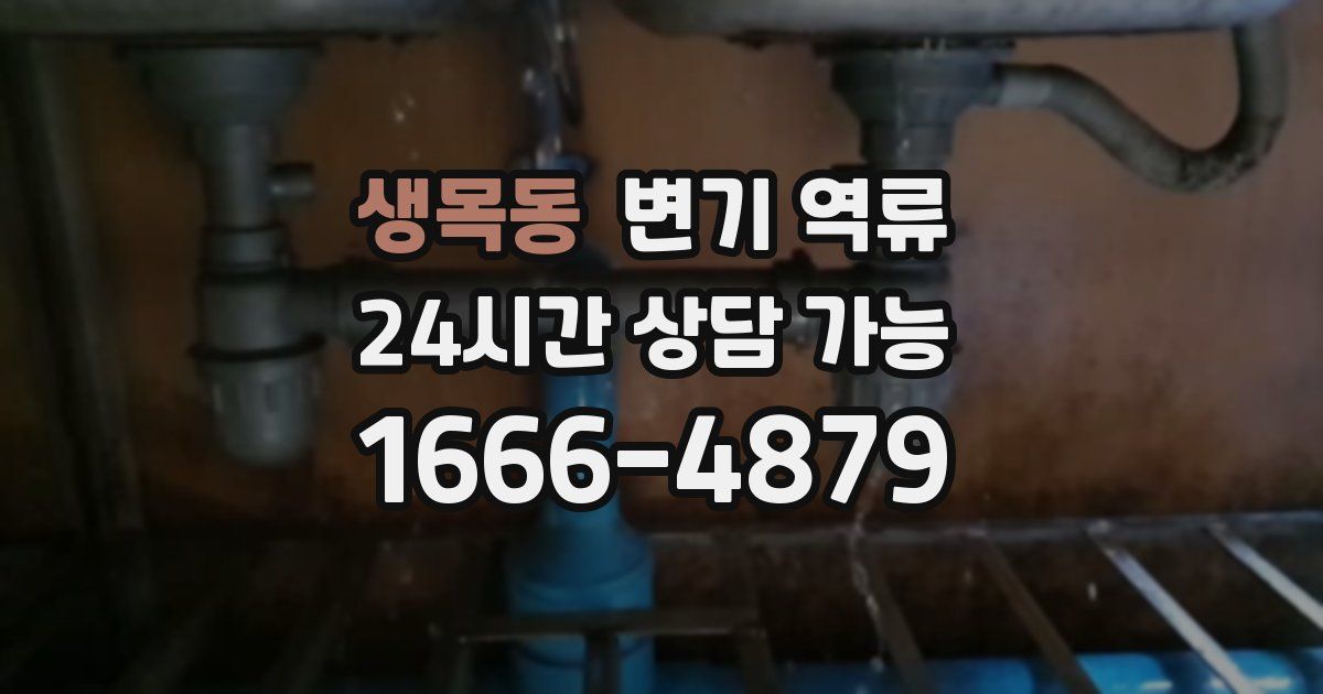 생목동 변기 역류