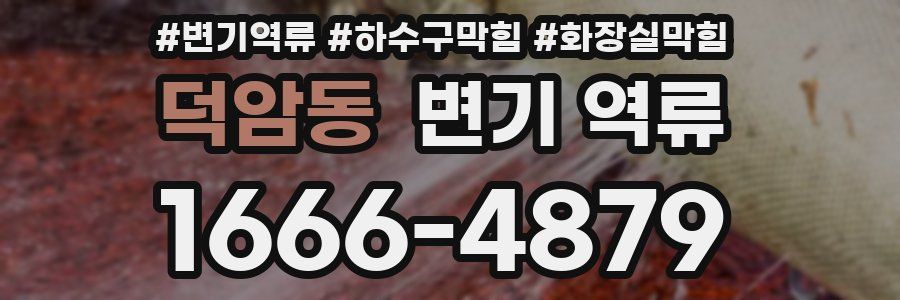 덕암동 변기 역류