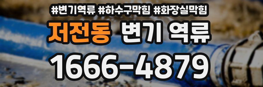 저전동 변기 역류