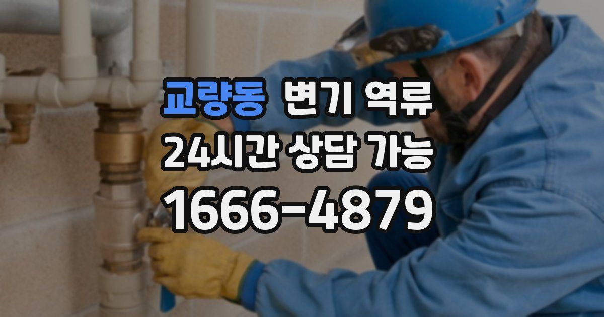 교량동 변기 역류