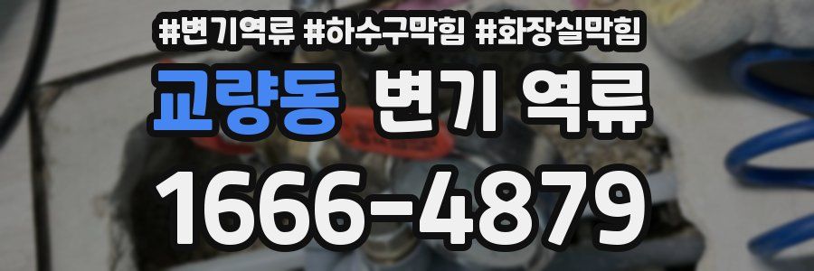 교량동 변기 역류