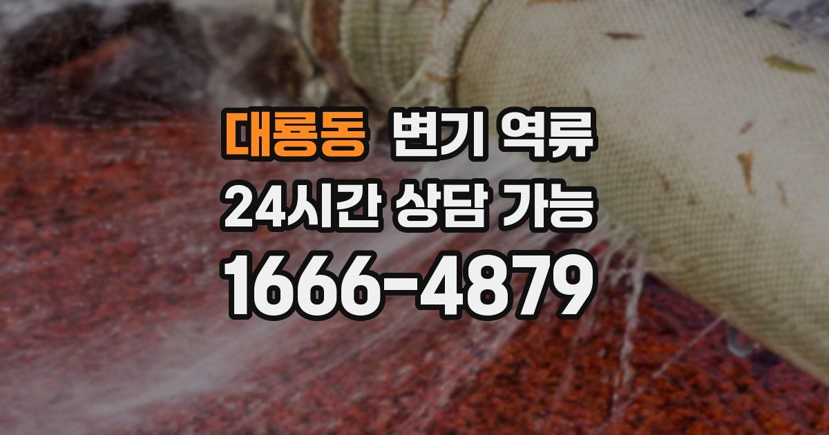 대룡동 변기 역류