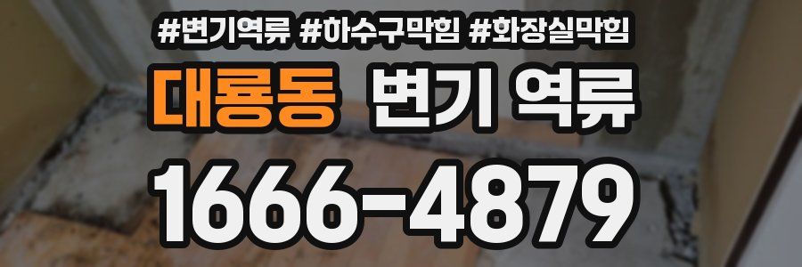 대룡동 변기 역류