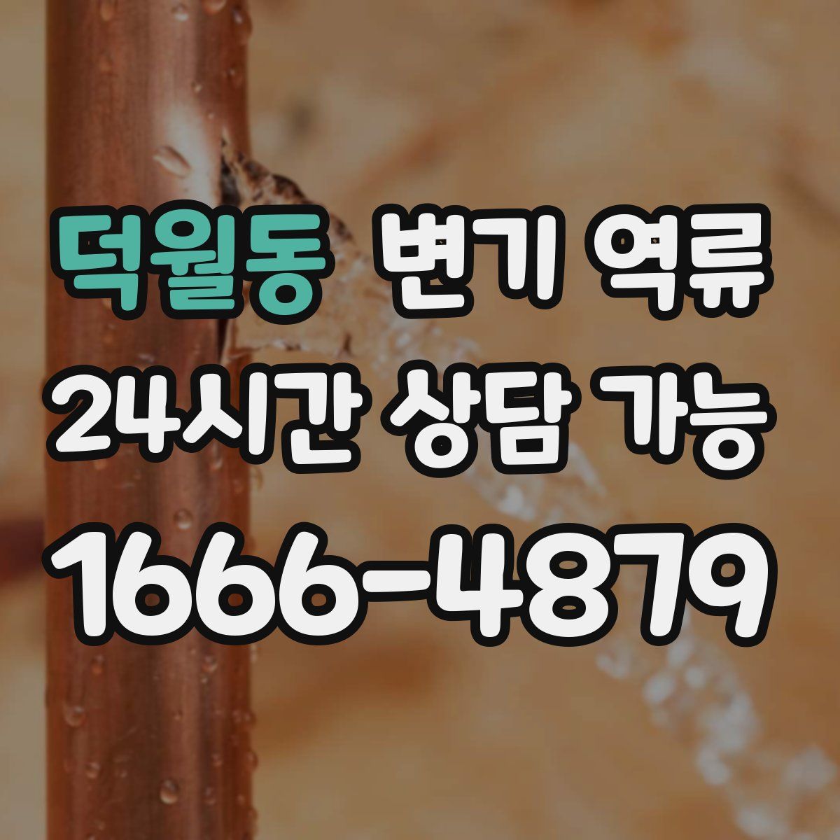 덕월동 변기 역류