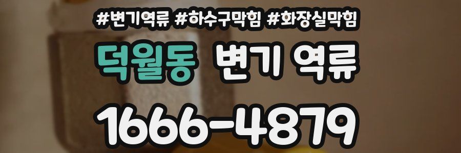 덕월동 변기 역류