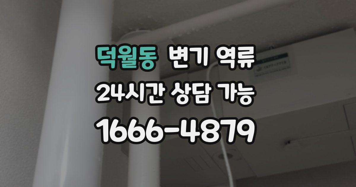 덕월동 변기 역류