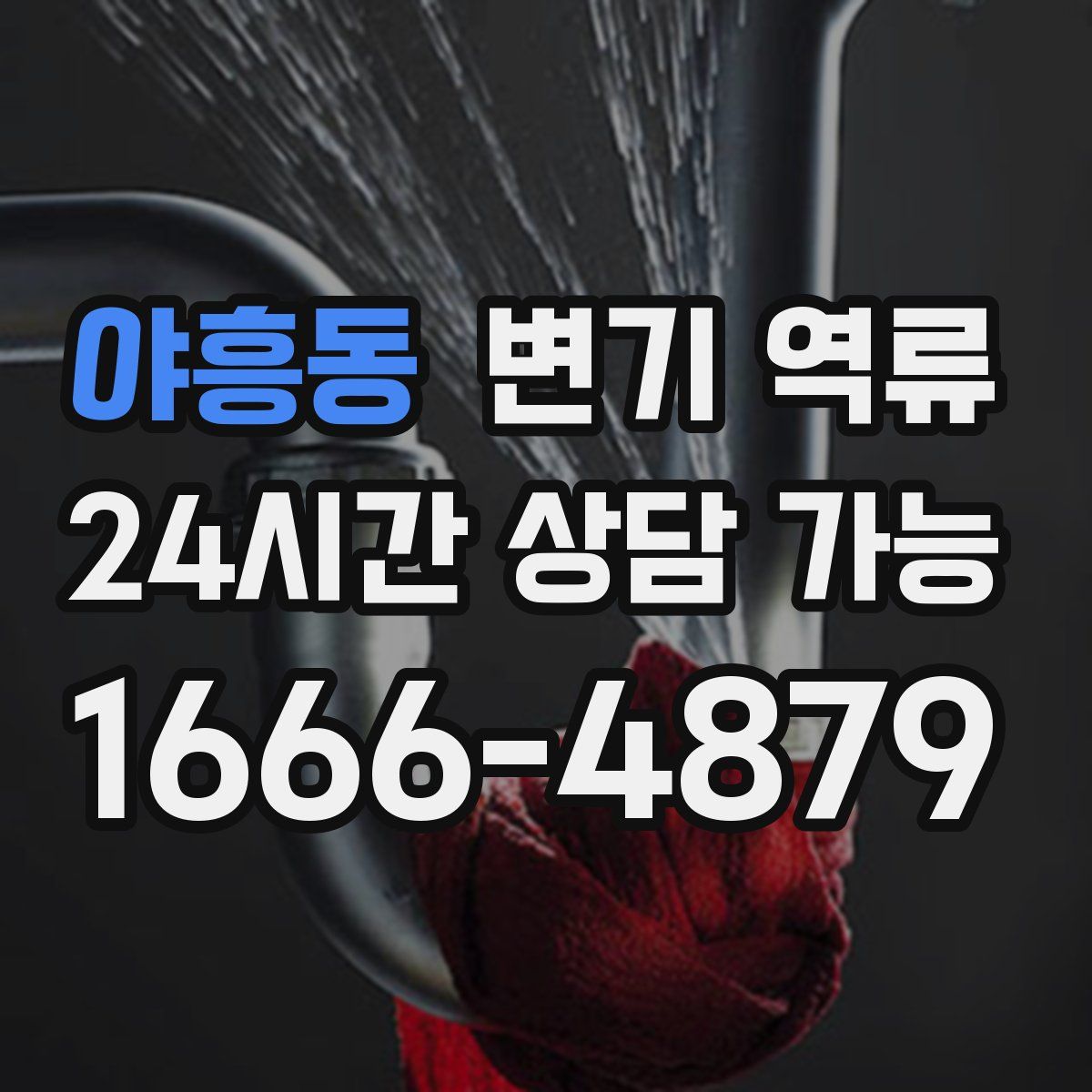 야흥동 변기 역류