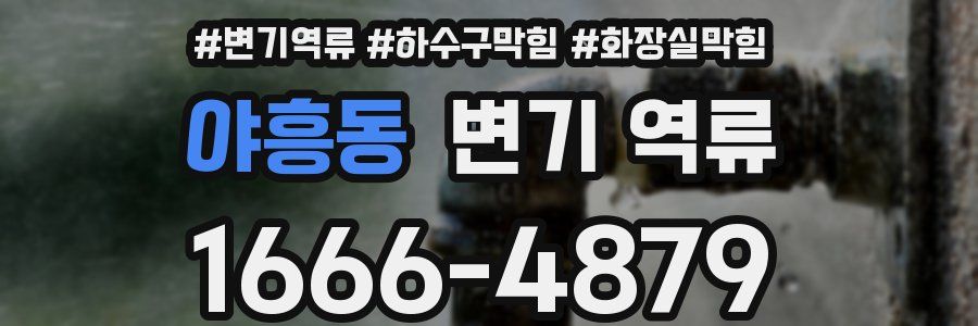 야흥동 변기 역류