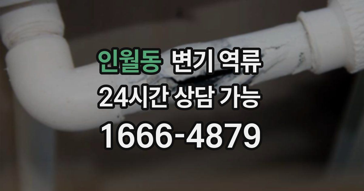 인월동 변기 역류