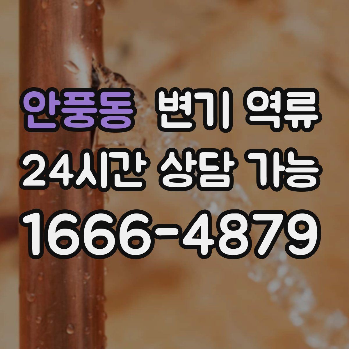 안풍동 변기 역류 동시에 느려진 배수구를 체크해야 하는 이유