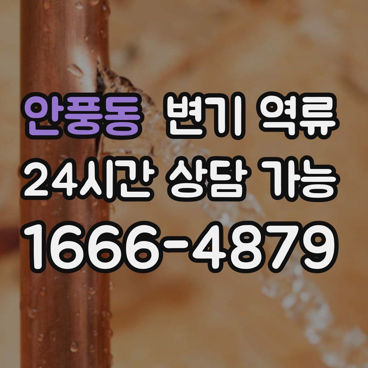 안풍동 변기 역류