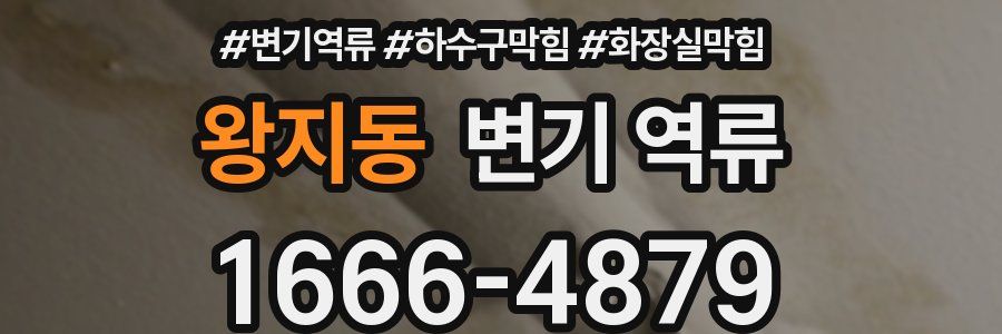 왕지동 변기 역류