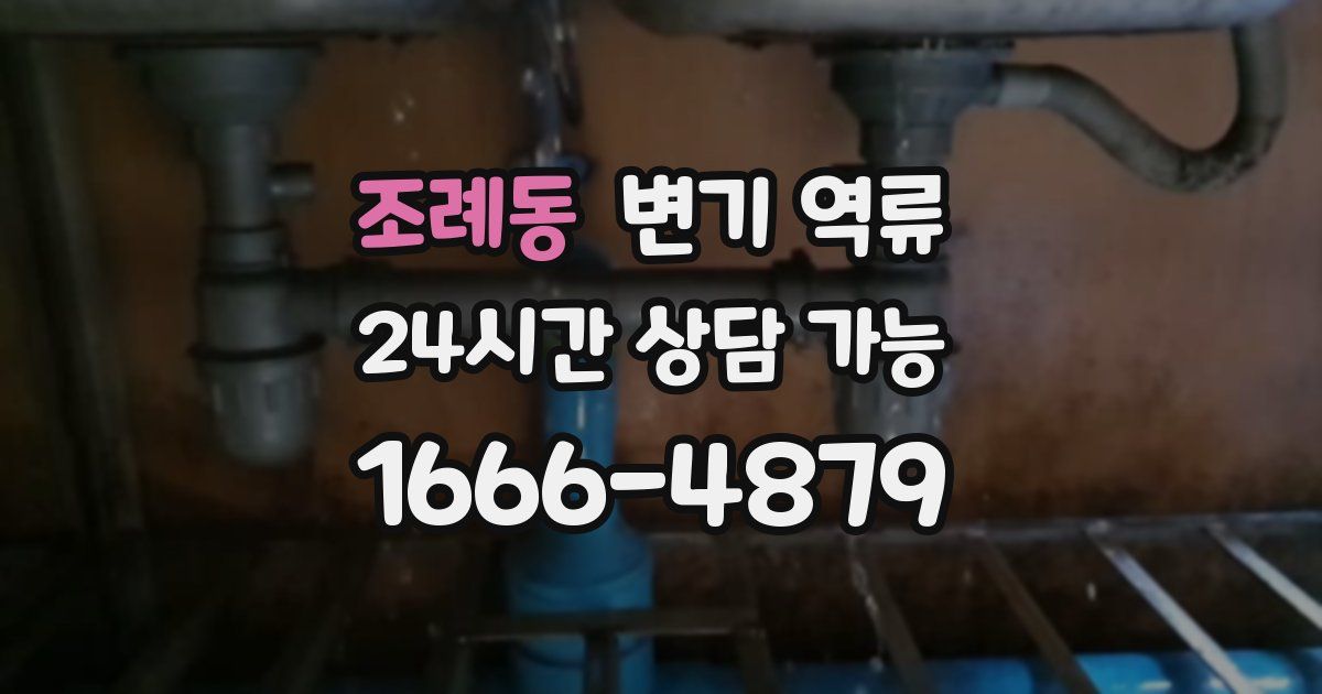 조례동 변기 역류